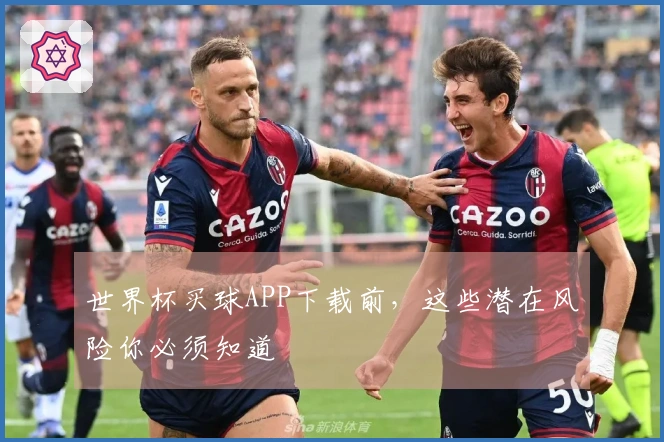 世界杯买球APP下载前，这些潜在风险你必须知道