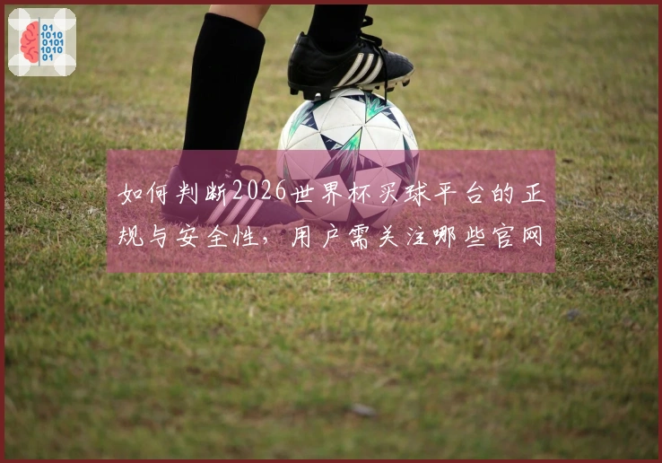 如何判断2026世界杯买球平台的正规与安全性，用户需关注哪些官网信息？