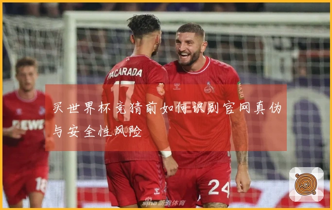 买世界杯竞猜前如何识别官网真伪与安全性风险