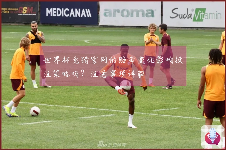 世界杯竞猜官网的赔率变化影响投注策略吗？注意事项详解