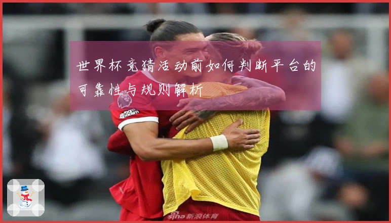 世界杯竞猜活动前如何判断平台的可靠性与规则解析