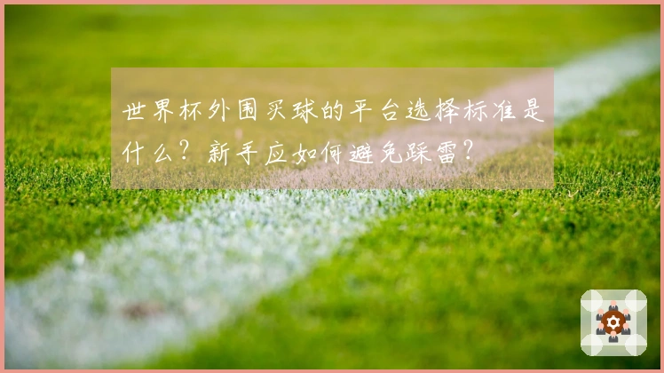 世界杯外围买球的平台选择标准是什么？新手应如何避免踩雷？