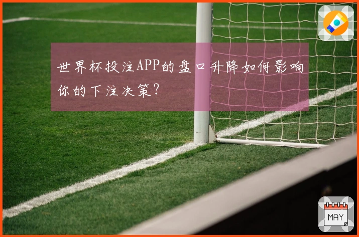 世界杯投注APP的盘口升降如何影响你的下注决策？