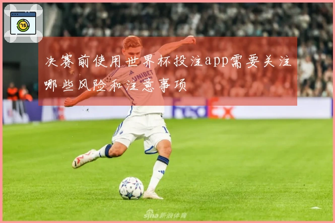 决赛前使用世界杯投注app需要关注哪些风险和注意事项