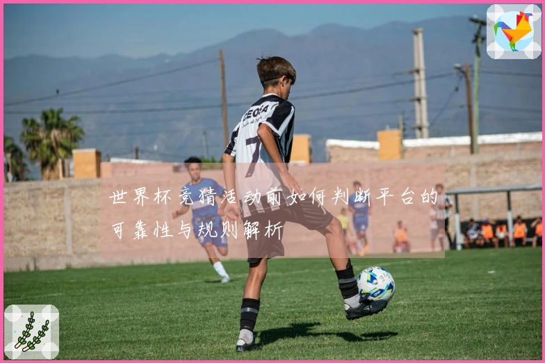 世界杯竞猜活动前如何判断平台的可靠性与规则解析