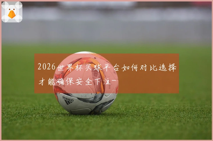 2026世界杯买球平台如何对比选择才能确保安全下注-