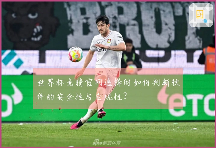 世界杯竞猜官网选择时如何判断软件的安全性与合规性？