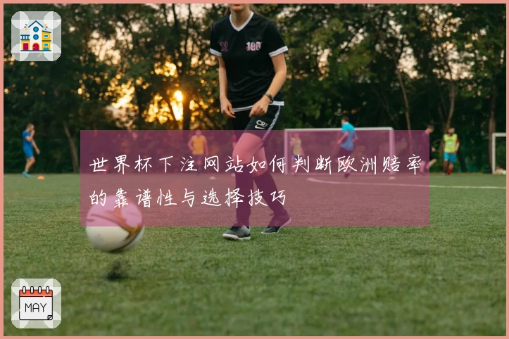 世界杯下注网站如何判断欧洲赔率的靠谱性与选择技巧