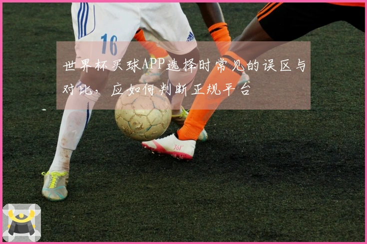 世界杯买球APP选择时常见的误区与对比，应如何判断正规平台