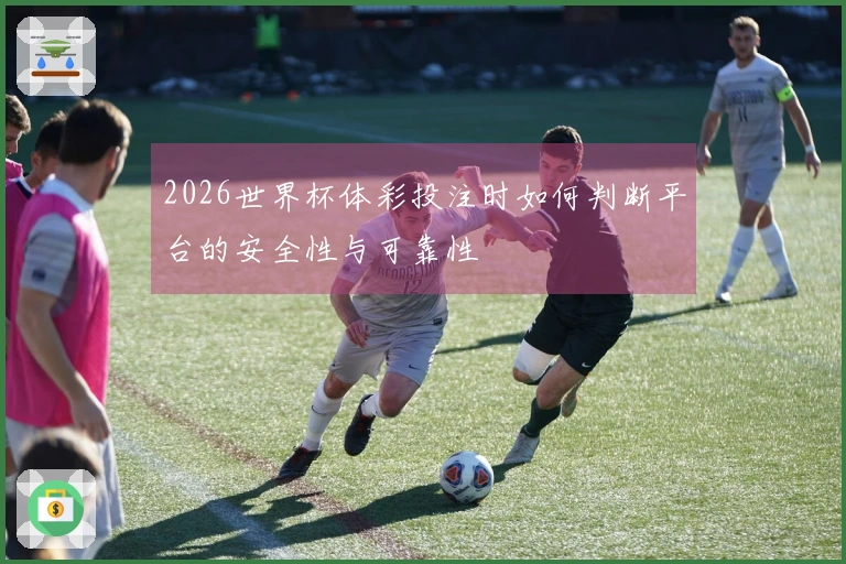 2026世界杯体彩投注时如何判断平台的安全性与可靠性