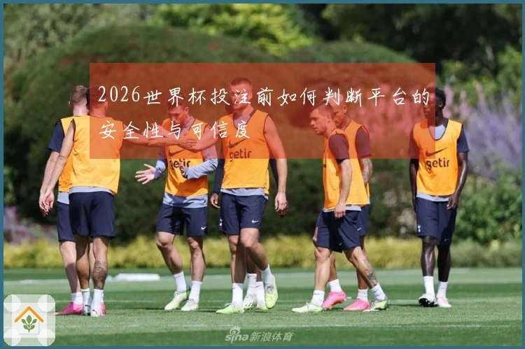 2026世界杯投注前如何判断平台的安全性与可信度