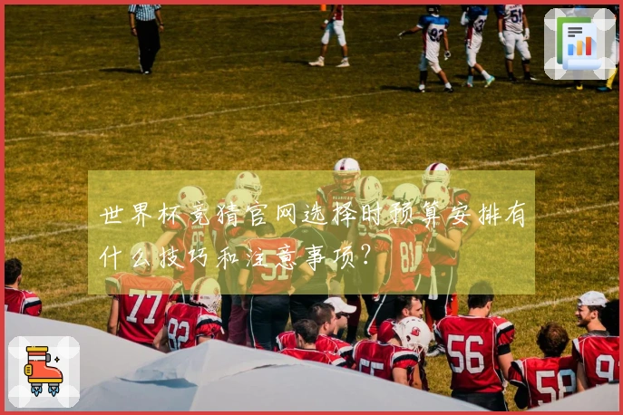 世界杯竞猜官网选择时预算安排有什么技巧和注意事项？