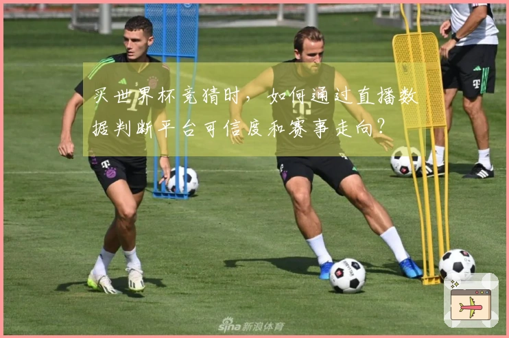 买世界杯竞猜时，如何通过直播数据判断平台可信度和赛事走向？