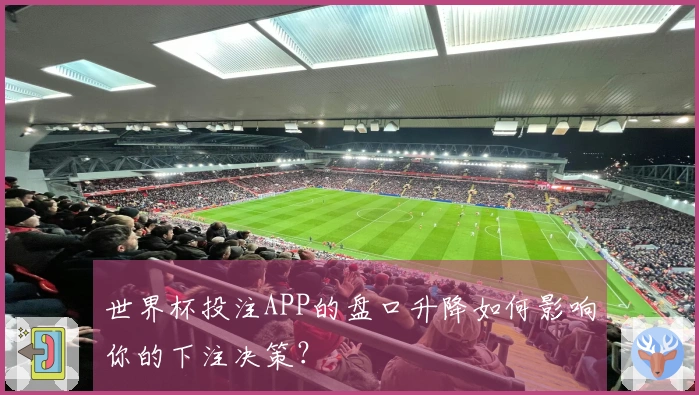世界杯投注APP的盘口升降如何影响你的下注决策？