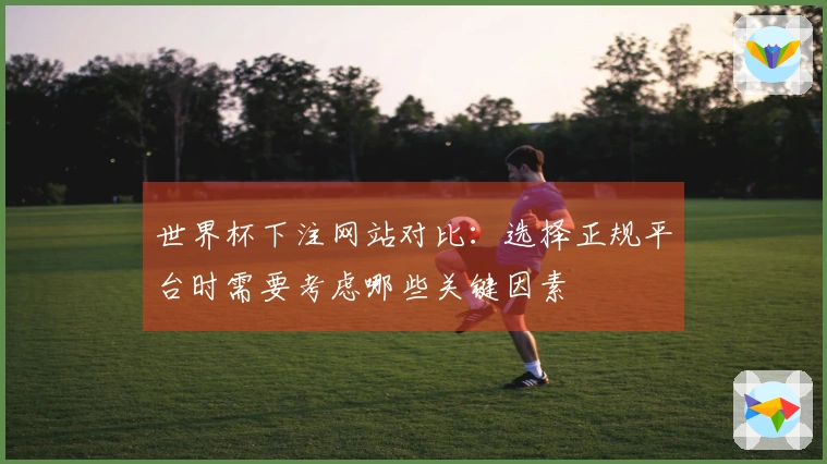 世界杯下注网站对比：选择正规平台时需要考虑哪些关键因素