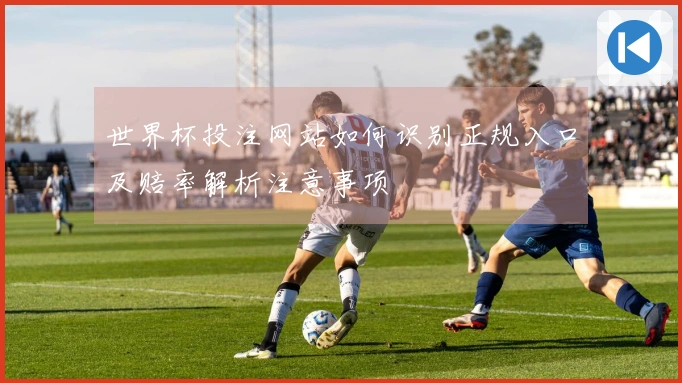 世界杯投注网站如何识别正规入口及赔率解析注意事项