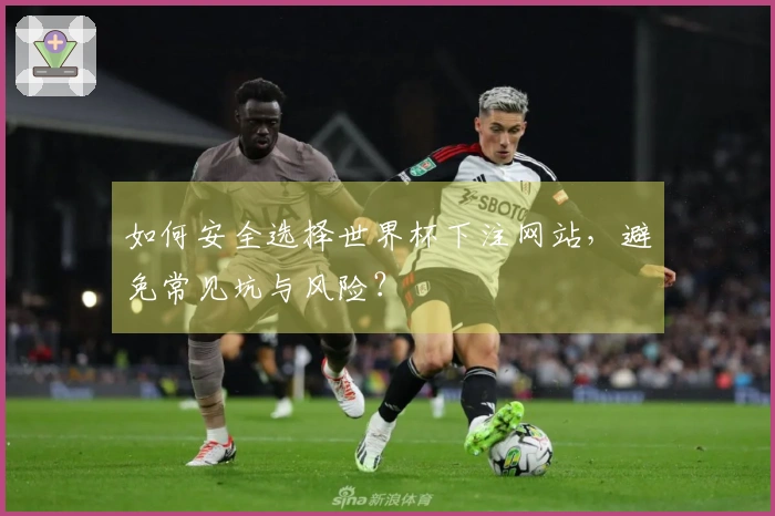 如何安全选择世界杯下注网站，避免常见坑与风险？