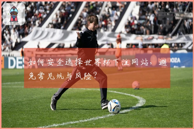 如何安全选择世界杯下注网站，避免常见坑与风险？