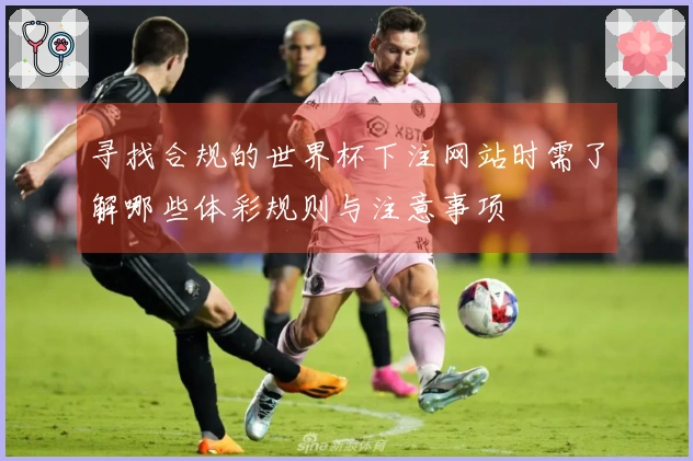 寻找合规的世界杯下注网站时需了解哪些体彩规则与注意事项