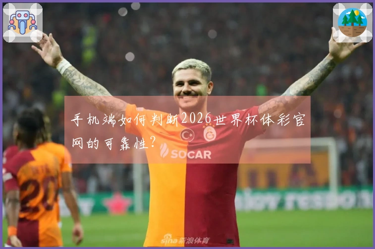 手机端如何判断2026世界杯体彩官网的可靠性？
